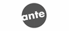 Logo ante-holz GmbH