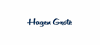 Logo Hagen Grote GmbH